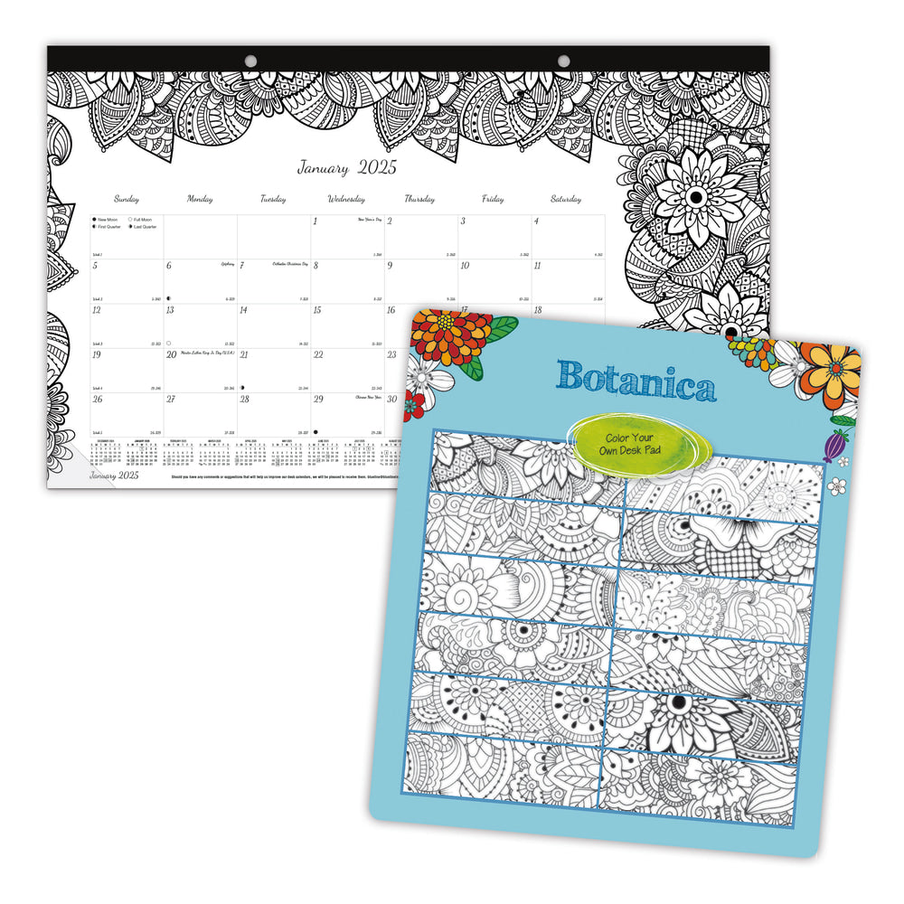 2025 Blueline DoodlePlan Monthly Desk Pad Coloring Calendar, 17-3/4in x 10-7/8in, Botanica, January To December, C2917001