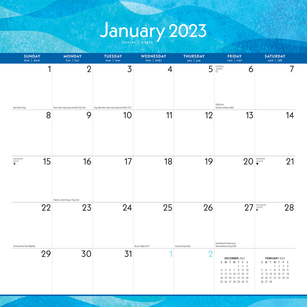 Brown Trout Family Theme Monthly Wall Calendar, 12in x 12in, Seaside Currents, January To December 2023