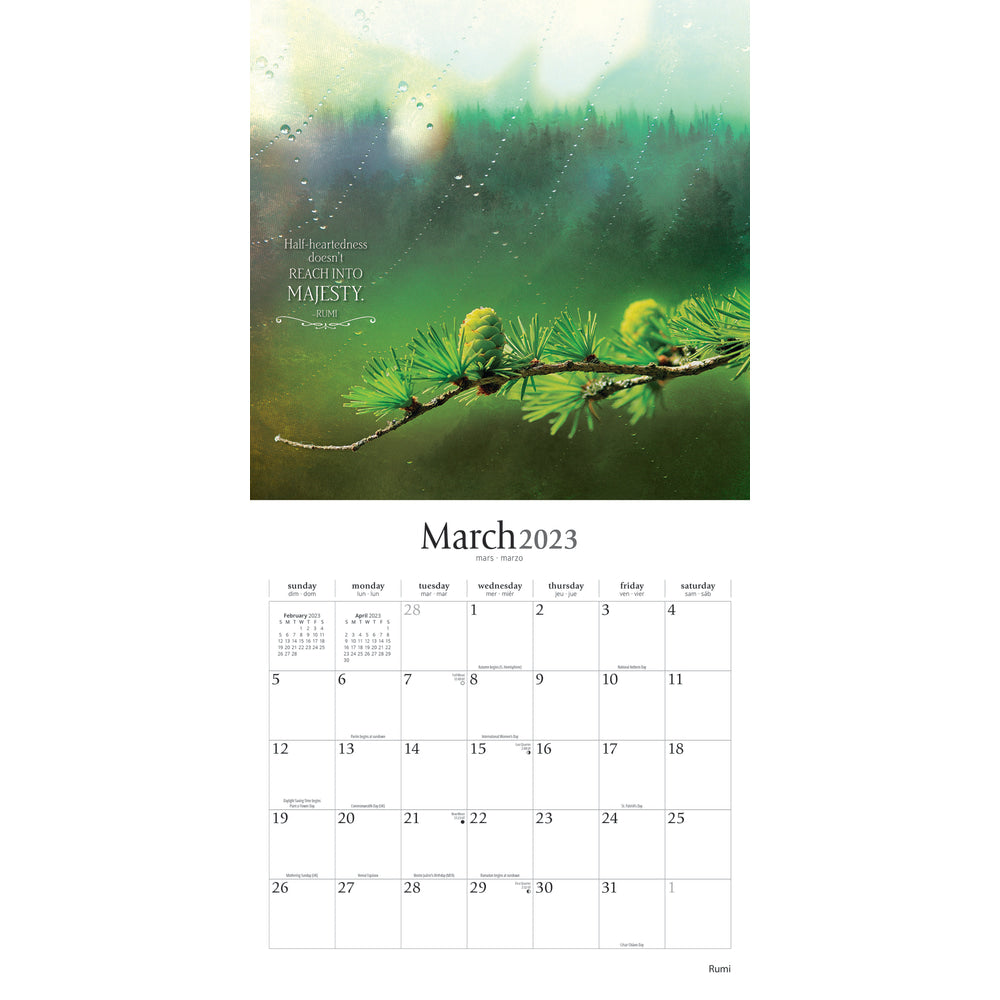 Brown Trout Inspirational Monthly Wall Calendar, 12in x 12in, Poetry Of Rumi, January To December 2023