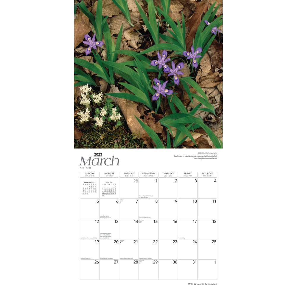 Brown Trout Travel Monthly Wall Calendar, 12in x 12in, Wild & Scenic Tennessee, January To December 2023