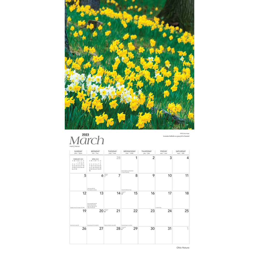Brown Trout Travel Monthly Wall Calendar, 12in x 12in, Wild & Scenic Florida, January To December 2023