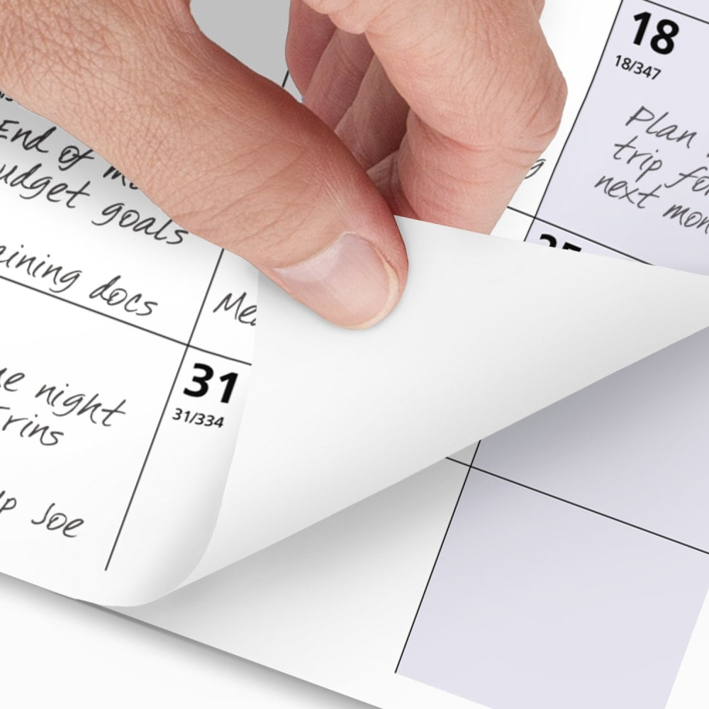 2025 AT-A-GLANCE QuickNotes Monthly Wall Calendar, 11in x 8in, Traditional, January 2025 To December 2025, PM5028