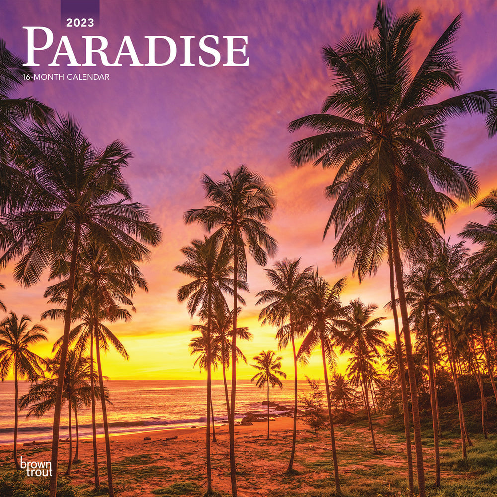 Brown Trout Travel Monthly Wall Calendar, 12in x 12in, Paradise, January To December 2023
