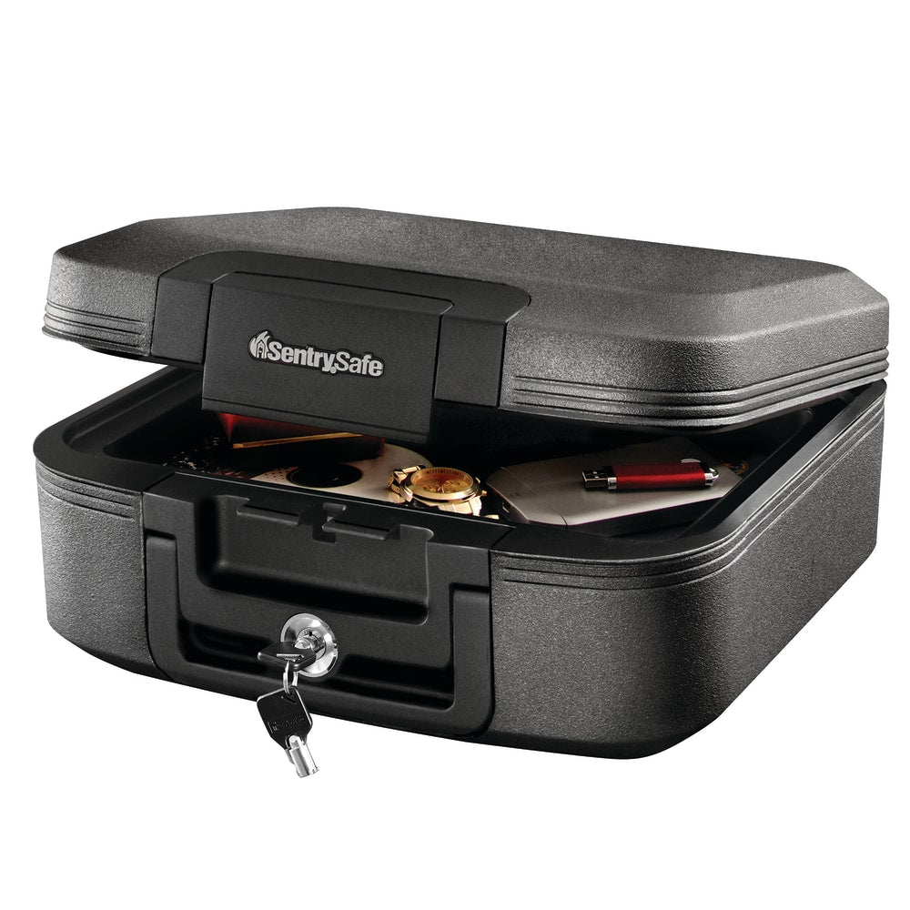 SentrySafe Security Safe, .028 Cu Ft Capacity, Charcoal Gray