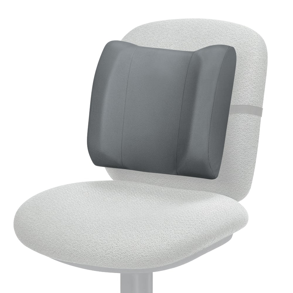 Fellowes Ergonomic Premium Backrest