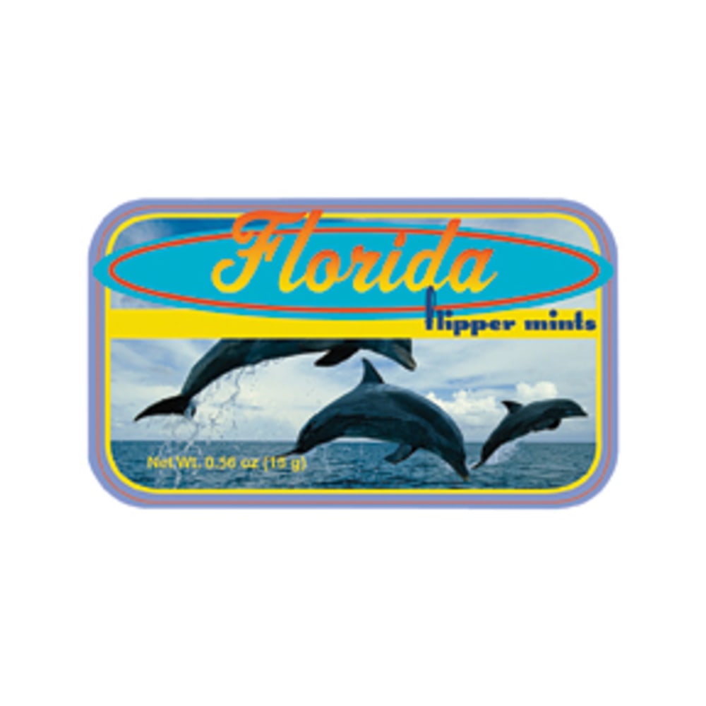 AmuseMints Destination Mint Candy, Florida Flipper, 0.56 Oz, Pack Of 24