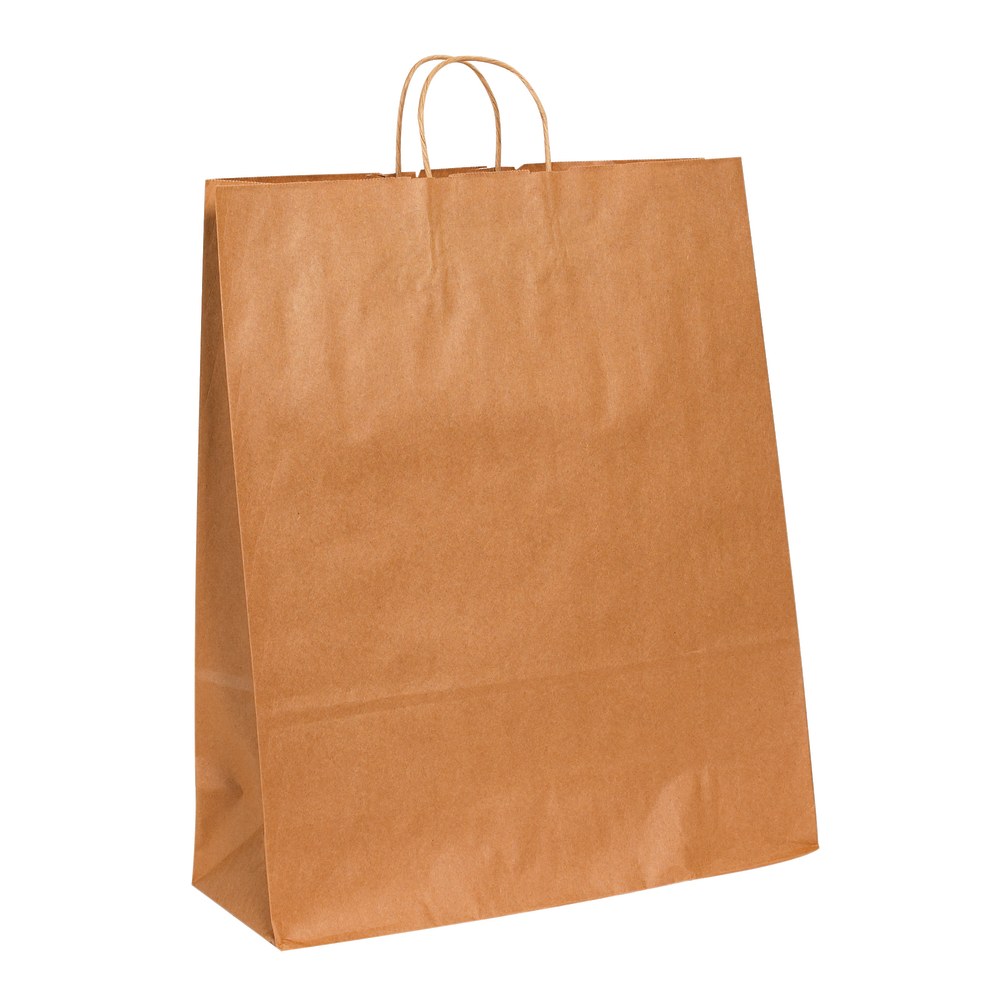 Partners Brand Paper Shopping Bags, 19 1/4inH x 16inW x 6inD, Kraft, Case Of 200