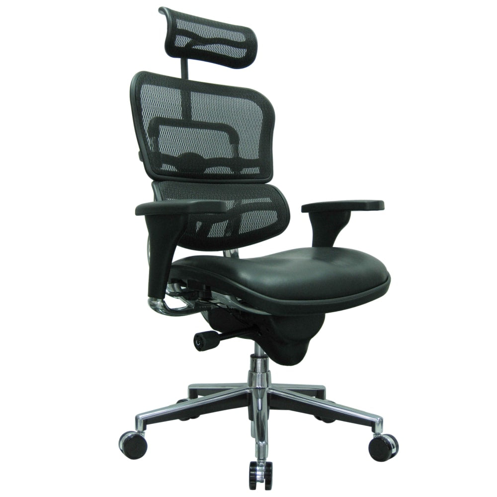 Raynor Eurotech Ergohuman Ergonomic Bonded Leather/Mesh High-Back Chair, Black/Chrome