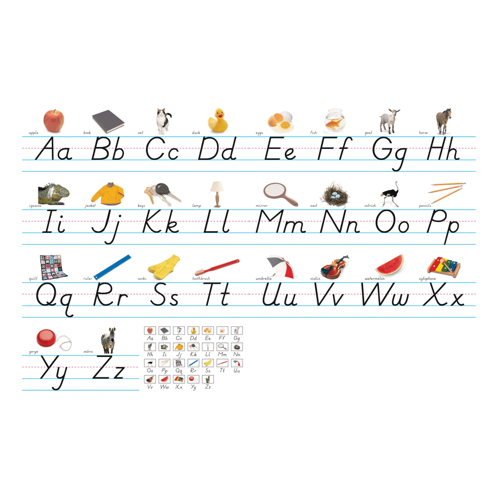 North Star Teacher Resources Photo & Modern Manuscript Alphabet Lines Bulletin Board Set, 7 5/8in X 14ft
