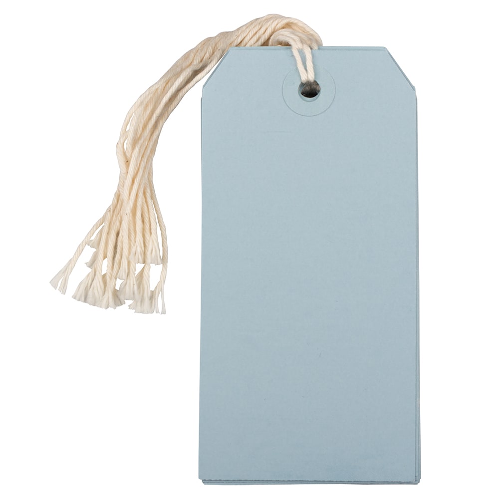 JAM Paper Gift Tags, 4 3/4in x 2 3/8in, Baby Blue, Pack Of 10