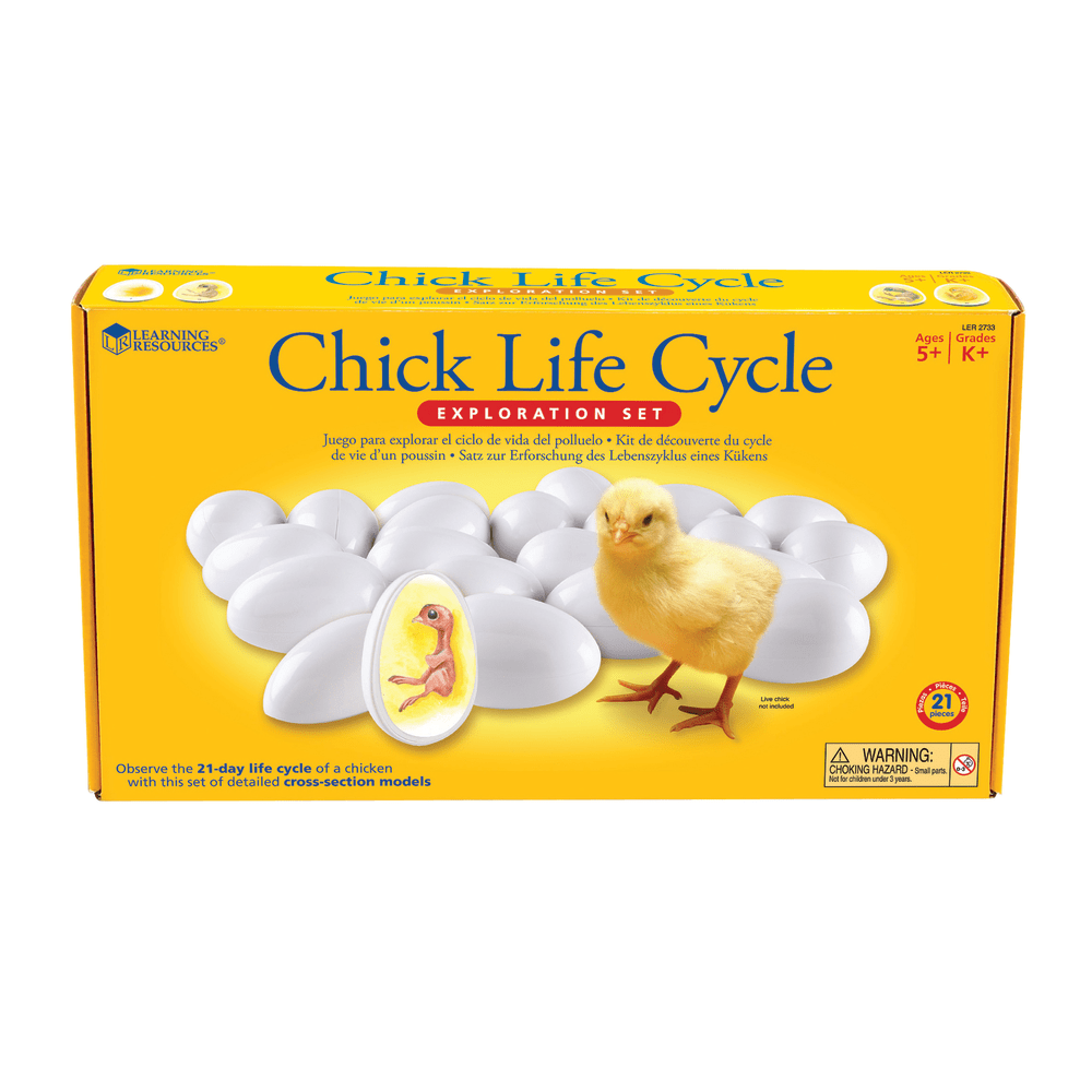 Learning Resources Chick Life Cycle Exploration Set, Grades K - 4