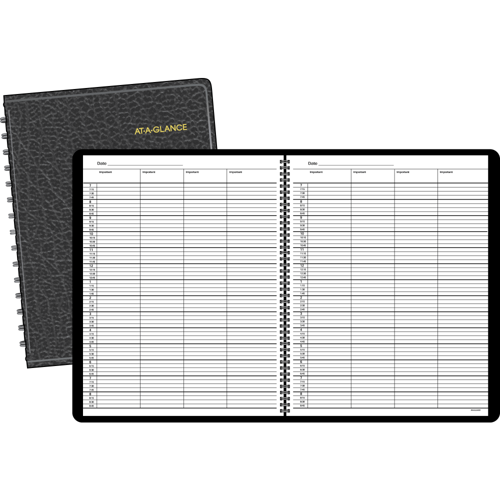 AT-A-GLANCE 4-Person Group Undated Daily Appointment Book, 8 1/2in x 11in, 30% Recycled, Black (8031005)
