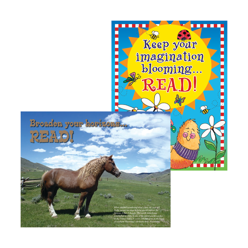 Barker Creek Chart Set, Celebrate Reading, 17in x 22in, Grades Pre-K+, Pack Of 2