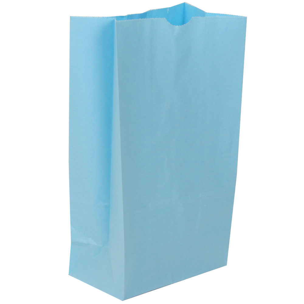 JAM Paper Medium Kraft Lunch Bags, 9-3/4inH x 5inW x 3inD, Baby Blue, Pack Of 500 Bags