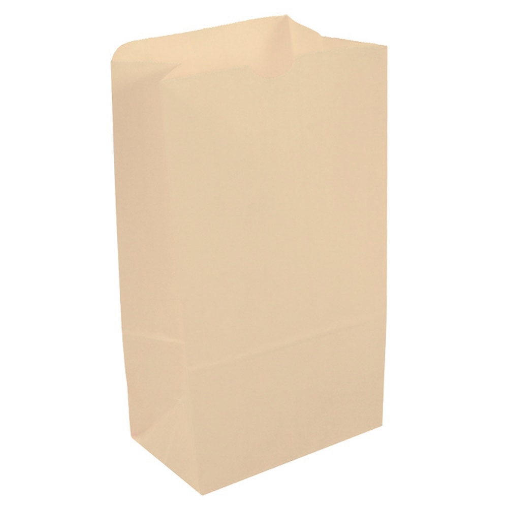 JAM Paper Kraft Lunch Bags, 11inH x 6inW x 3-3/4inD, Ivory, Box Of 500 Bags