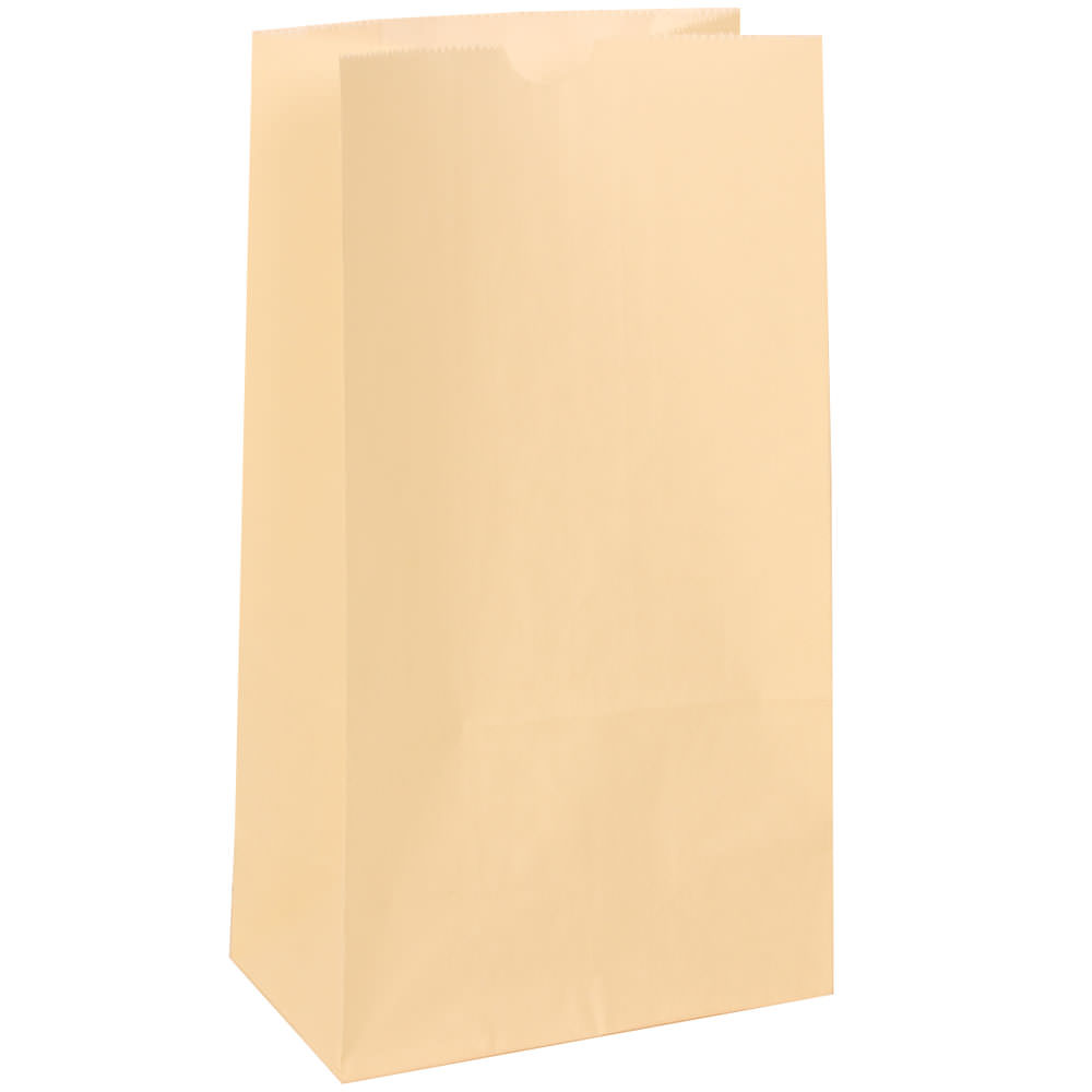 JAM Paper Medium Kraft Lunch Bags, 9-3/4inH x 5inW x 3inD, Ivory, Pack Of 500 Bags