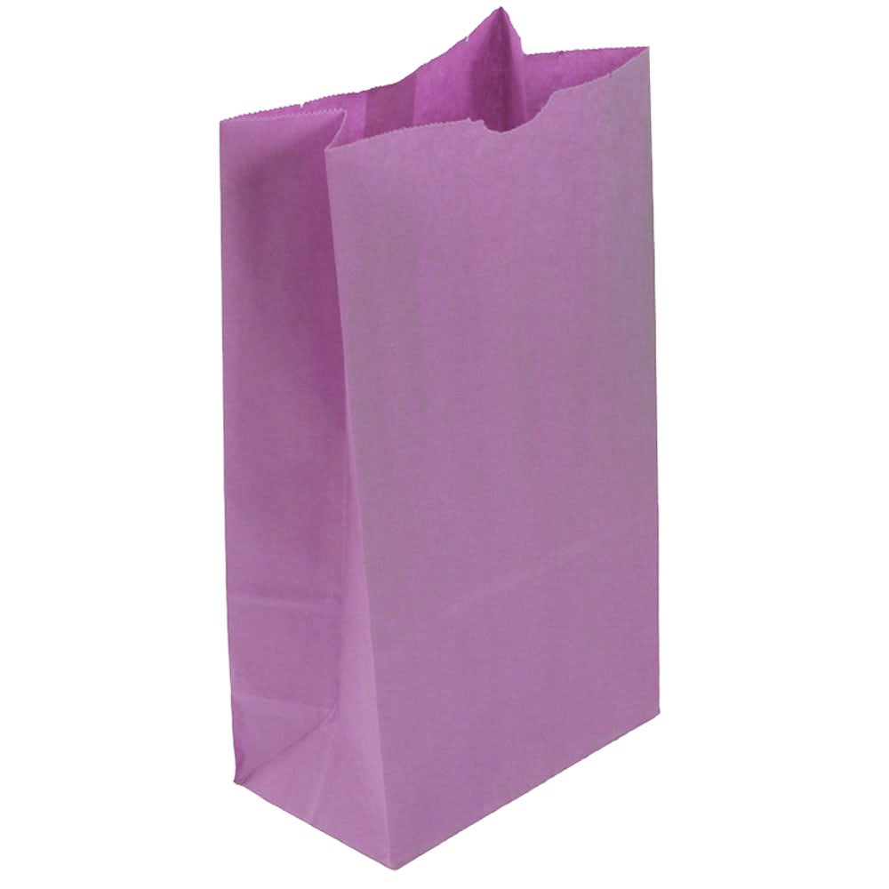 JAM Paper Kraft Lunch Bags, 11inH x 6inW x 3-3/4inD, Purple, Box Of 500 Bags