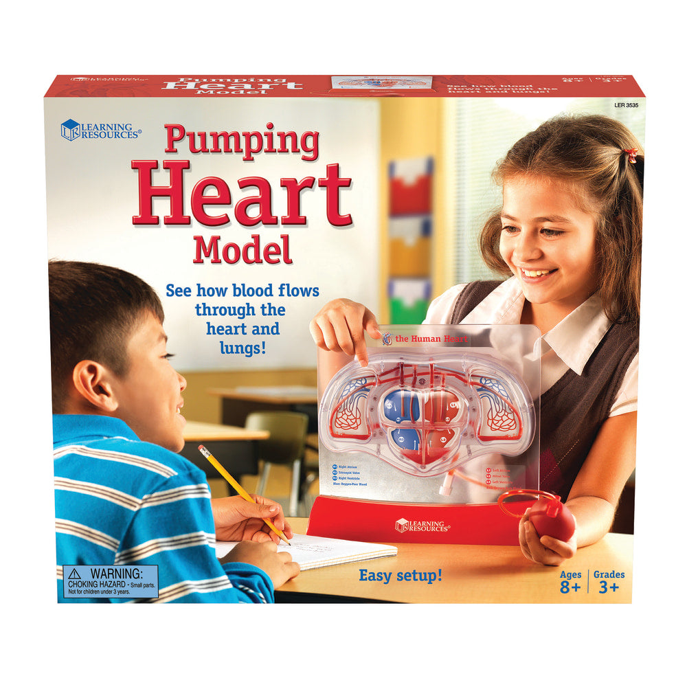 Learning Resources Pumping Heart Model, 12inH x 11inW x 5inD, Grades 3 - 12