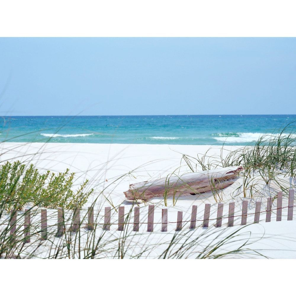 Biggies Landscape/Seascape Mural, 24in x 18in, Unframed, South Carolina Coast