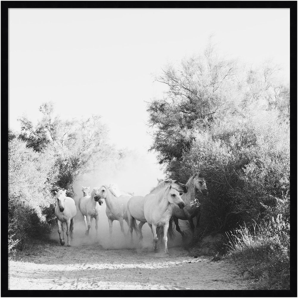 Amanti Art Energy by Laura Evans Wood Framed Wall Art Print, 33inH x 33inW, Black