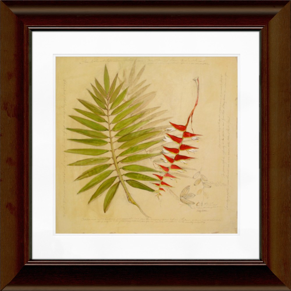 Timeless Frames Katrina Framed Floral Artwork, 12in x 12in, Brown, Botanical Study II