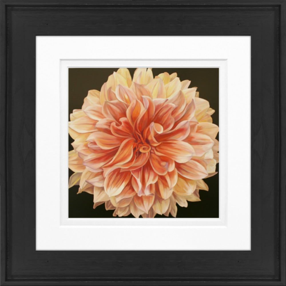 Timeless Frames Alexis Framed Floral Artwork, 8in x 8in, Black Frame, Orange Dahlia