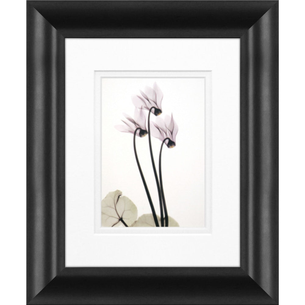 Timeless Frames Marren Framed Floral Artwork, 8in x 10in, Black, Cyclamen Trio