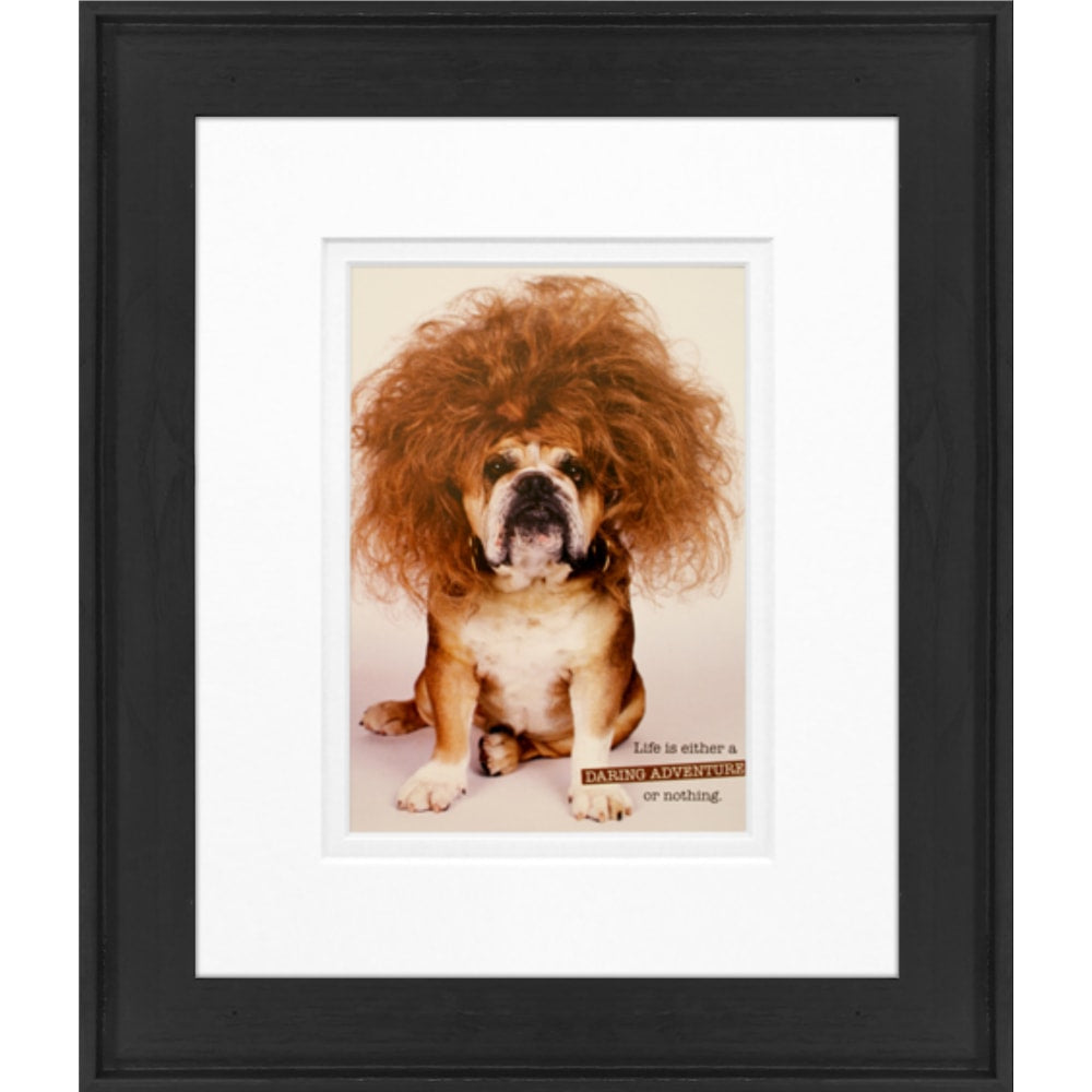 Timeless Frames Alexis Framed Animal Artwork, 8in x 10in, Black, Daring Adventure