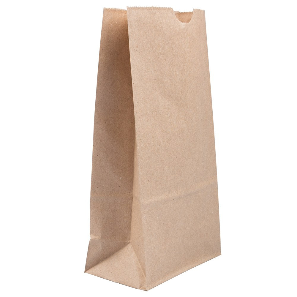 JAM Paper Medium Kraft Lunch Bags, Brown, 5 x 9 3/4 x 3, Pack Of 25 Bags