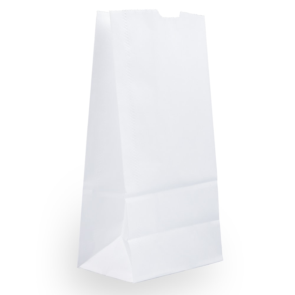 JAM Paper Medium Kraft Lunch Bags, 9 3/4 x 5 x 3, White, Pack Of 25 Bags