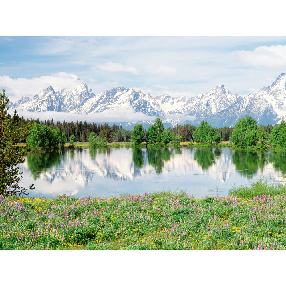 Biggies Landscape/Seascape Mural, 40in x 30in, Unframed, Mountain Flowers
