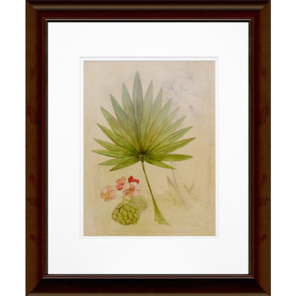 Timeless Frames Floral Katrina Brown Wall Artwork, 20in x 16in, Botanical Journal II