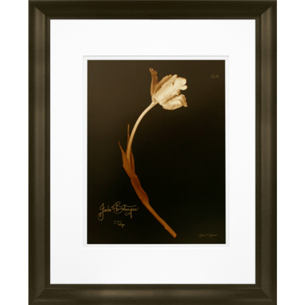 Timeless Frames Marren Espresso-Framed Floral Artwork, 16in x 20in, Tulip 22