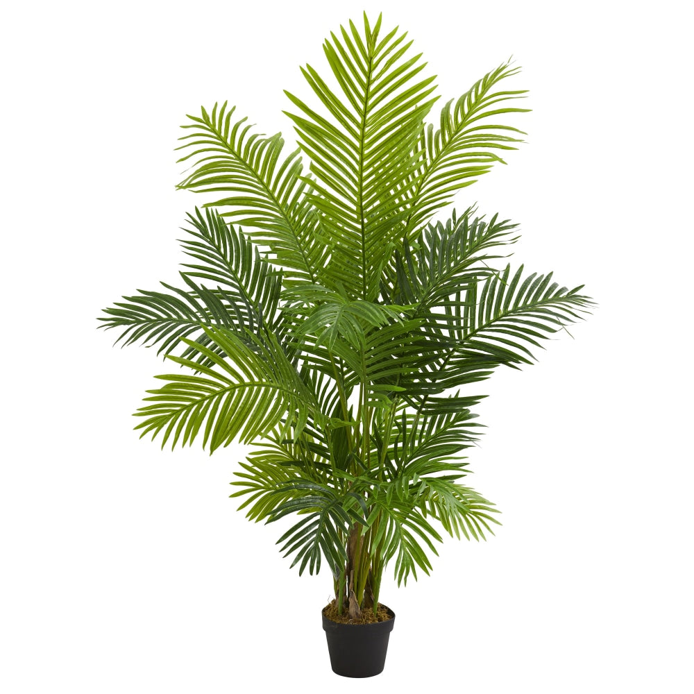 Nearly Natural Hawaii Palm 60inH Artificial Tree With Pot, 60inH x 10inW x 6inD, Green