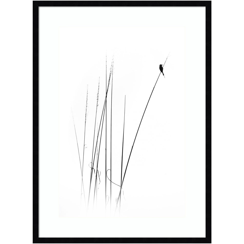 Amanti Art A Sabbatical Bird by Swapnil Wood Framed Wall Art Print, 34inH x 25inW, Black