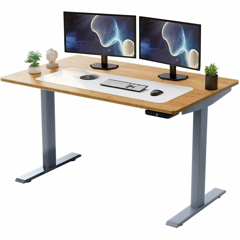Rise Up Electric Standing Desk 48x30in Natural Bamboo Desktop Dual Motors Adjustable Height Gray Frame (26-51.6in) with memory