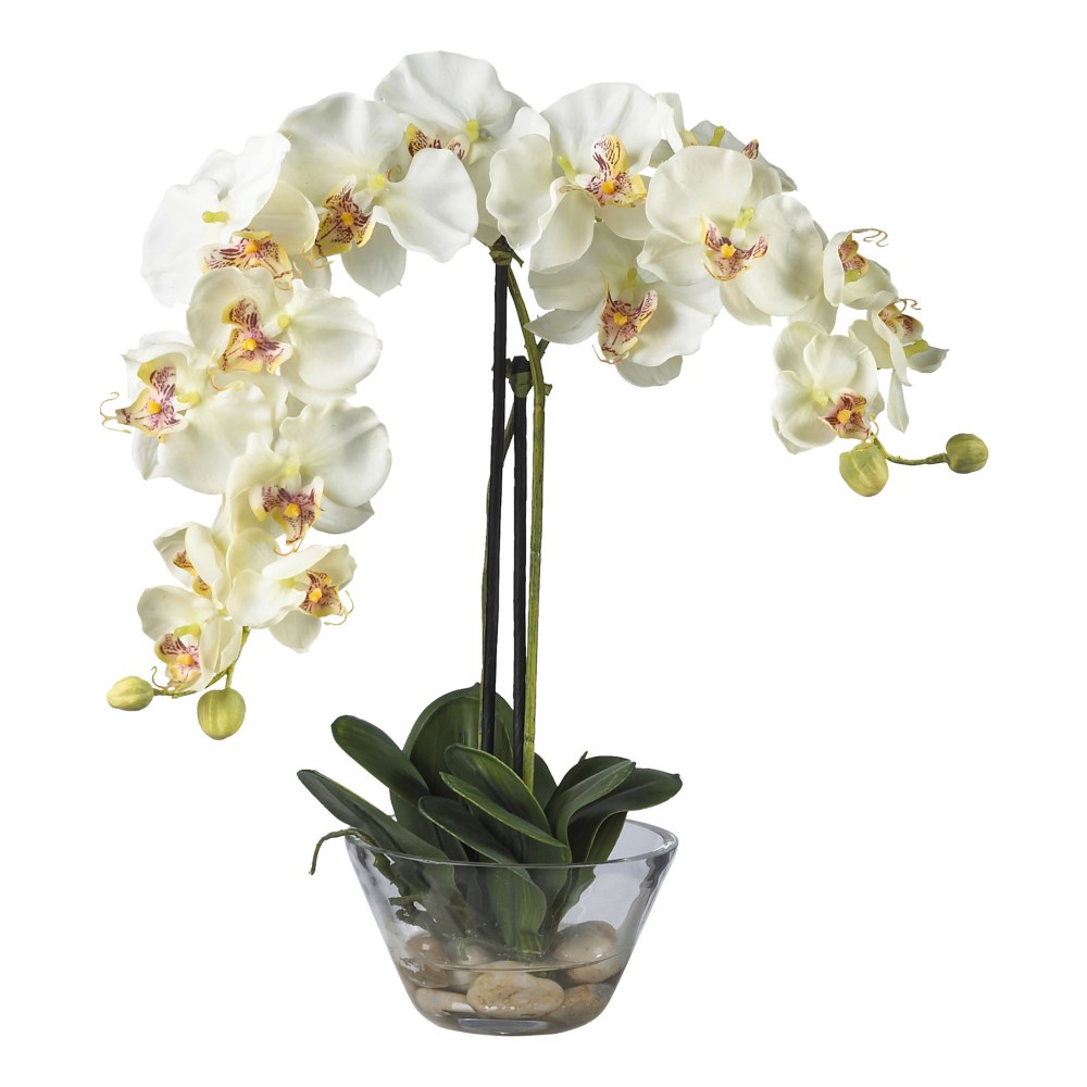Nearly Natural 18inH Phalaenopsis Silk Flower Arrangement With Glass Vase, White