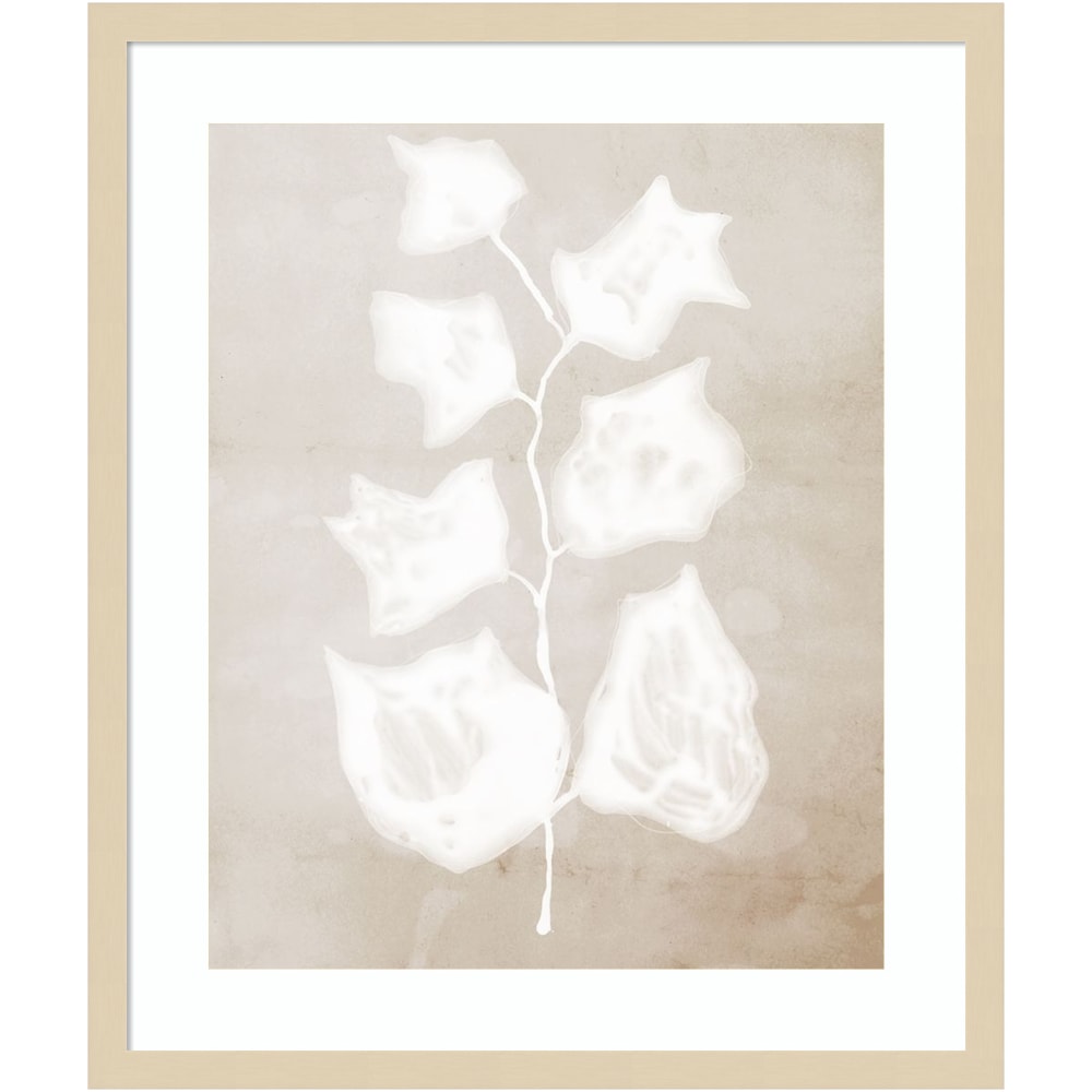 Amanti Art Paper Bark II by Urban Road Wood Framed Wall Art Print, 21inW x 25inH, Natural