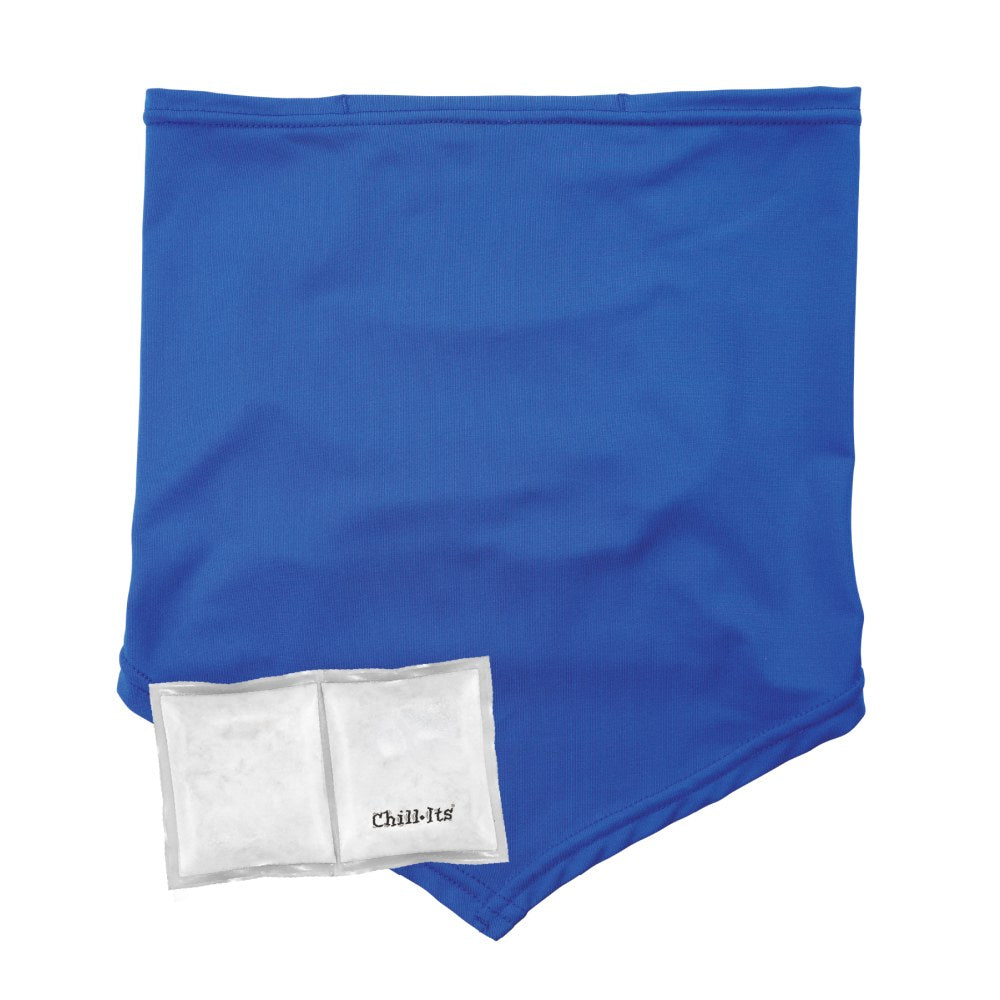 Ergodyne Chill-Its 6482 Cooling Neck Gaiter Bandana With Pocket/Ice Packs, L/XL, Blue