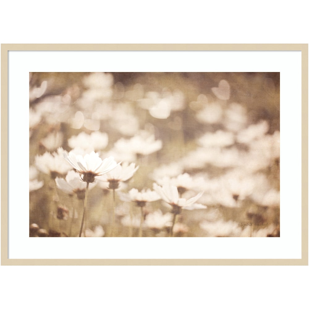Amanti Art Daisies I Neutral by Elizabeth Urquhart Wood Framed Wall Art Print, 30inH x 41inW, Natural