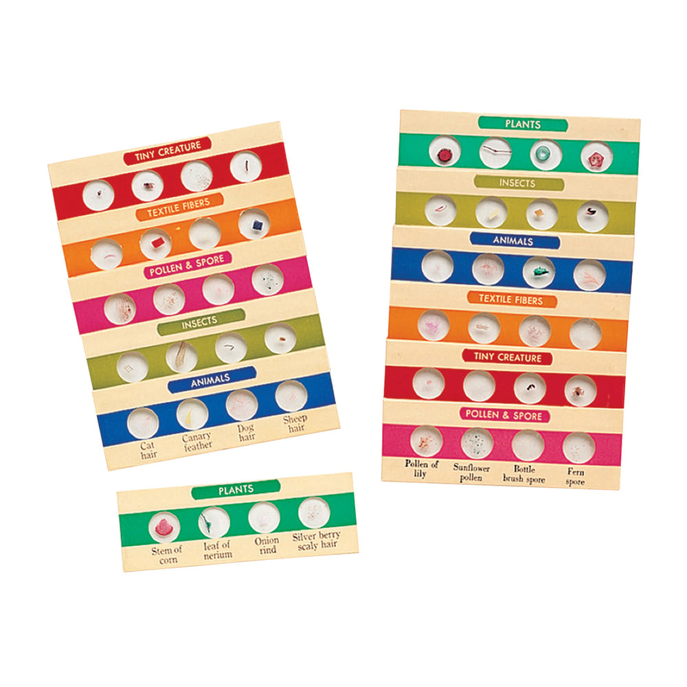 Learning Resources Prepared Microscope Slides, 4 1/2inH x 3 1/2inW x 2 1/2inD, Grades 3 - 12, Pack Of 12