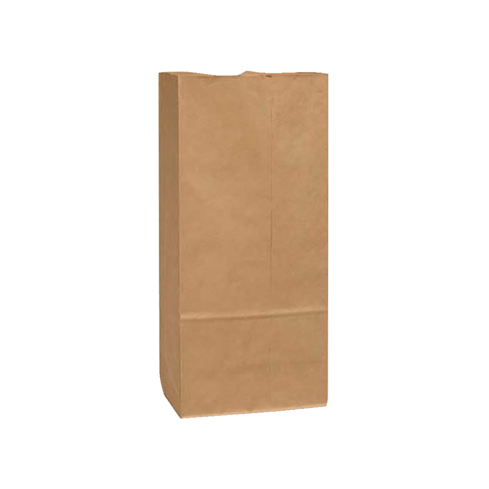 Duro Bag General Paper Bags, 25#, 18in" x 8.25in x 5.25in, 40 Lb Base Weight, 40% Recycled, Brown Kraft, Bundle Of 500