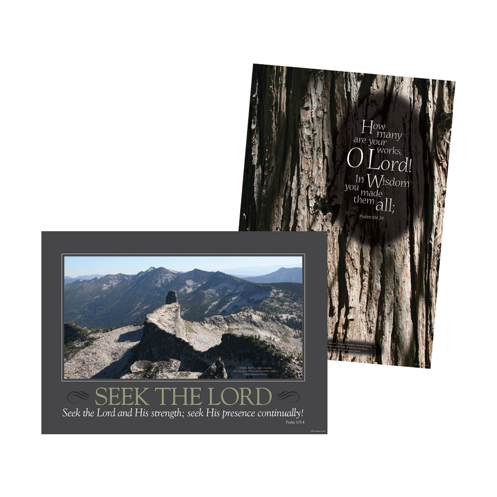 Barker Creek Poster Duet Set, Natural Wonders, Pack Of 2
